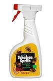 norax Schaben Sprüh 500ml *Kakerlakensprüh* - Effektiv Schaben und Kakerlaken bekämpfen