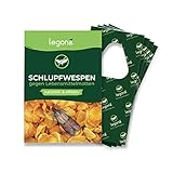 Legona® - Schlupfwespen gegen Lebensmittelmotten / 4X Trigram-Karte à 3 Lieferungen/Biologische & Nachhaltige Bekämpfung von Motten in Lebensmitteln/Alternative zu Mottenspray und Mottenkugeln