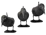 tiroba Premium Taubenschreck Rabe 3er Set - wetterfester Kunststoff - inkl. ebook Vögel vertreiben | Vogelabwehr, natürl. Schädlingsbekämpfung, Schutz vor lästigen Vögeln Tauben, Möwen, Kleinvögel