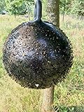 Holland Animal Care Horse Fly Trap Ball